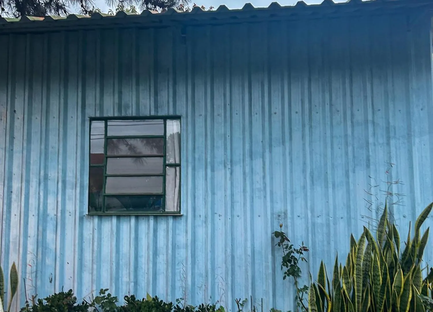 Rancho 1126 Lägenhet Florianópolis Rum i privatbostad